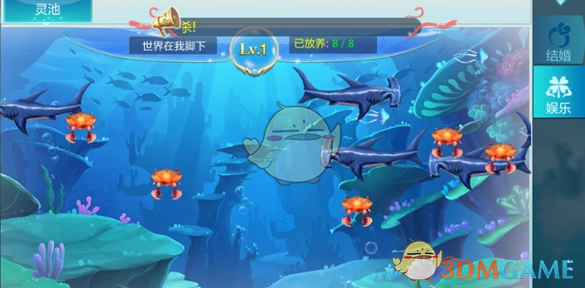 金价暴涨！创5年最大涨幅！金饰价格重回960元/克，美亿万富翁呼吁暂停关税政策